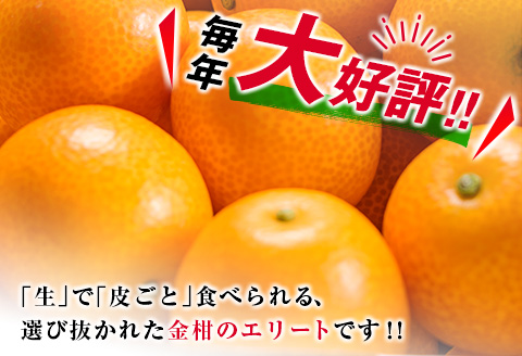 糖度16度以上 数量限定 完熟 きんかん たまたま 計1kg以上 傷み補償分入り 宮崎 期間限定 フルーツ 果物 くだもの ブランド 金柑 柑橘 令和8年発送 化粧箱入り 国産 食品 人気 おすすめ ギフト 贈り物 贈答 ご褒美 お祝い おすそ分け 日南市 送料無料_B215-23