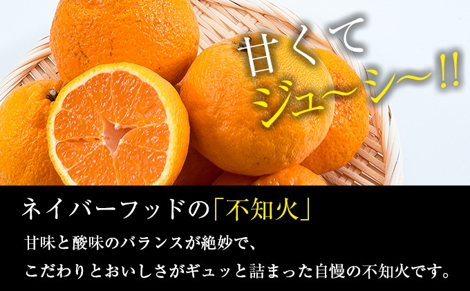 先行予約 訳あり 不知火 計4kg以上 傷み補償分入り 期間限定 数量限定 フルーツ 果物 くだもの 柑橘 みかん しらぬい 令和8年発送 おやつ デザート ジュース 国産 食品 おすすめ ご褒美 産地直送 おすそわけ 家庭用 ネイバーフッド 宮崎県 日南市 送料無料_A97-25