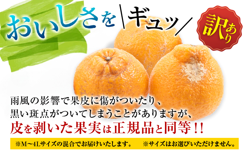 先行予約 訳あり 不知火 計4kg以上 傷み補償分入り 期間限定 数量限定 フルーツ 果物 くだもの 柑橘 みかん しらぬい 令和8年発送 おやつ デザート ジュース 国産 食品 おすすめ ご褒美 産地直送 おすそわけ 家庭用 ネイバーフッド 宮崎県 日南市 送料無料_A97-25