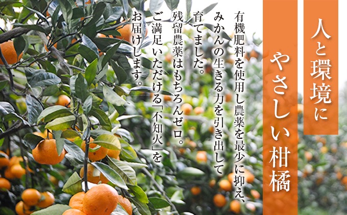 äžç¥ç« èš4kgä»¥äž å·ã¿è£ååå
¥ã æééå® æ°ééå® ãã«ãŒã æç© ãã ãã® ææ© ã¿ãã ããã¬ã 什å8幎çºé ãã〠ãã¶ãŒã ãžã¥ãŒã¹ åœç£ é£å ãããã ãè€çŸ ç£å°çŽé ãã¬ãŒã³ã ã®ãã èŽãç© ãã€ããŒããã å®®åŽç æ¥ååž éæç¡æ_AAV11-25