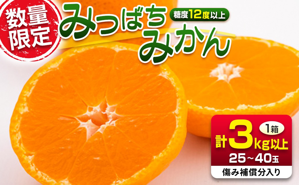 先行予約 みつばちみかん 計3kg以上 傷み補償分入り 期間限定 数量限定 果物 くだもの フルーツ 蜜柑 ミカン 柑橘 オレンジ おやつ デザート みかんジュース 飲み物 小ぶり おすすめ おすそ分け 国産 食品 産地直送 贈り物 お土産 宮崎県 日南市 送料無料_AAV9-25