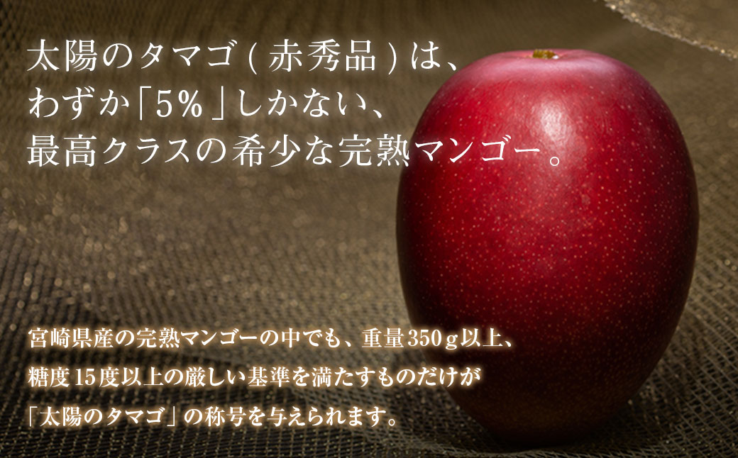 å®çãã³ãŽãŒ 倪éœã®ã¿ã㎠赀ç§å 4L à 2ç æééå® æ°ééå® ãã³ãŽãŒ å®®åŽ ãã«ãŒã æç© ãã ãã® åœç£ é£å å
è¡äºçŽ 2026 什å8幎çºé æ¿å ãã¶ãŒã ãã〠ãããã å·èµ ãè€çŸ èŽ
æ²¢ ããããã åç²§ç®±å
¥ã ã®ãã èŽãç© èŽç æ¥ååž éæç¡æ_H7-191