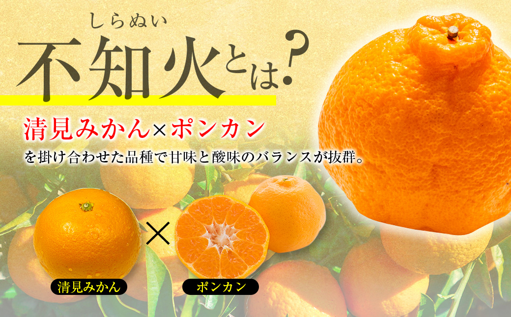 たっぷり果肉とジューシーな果汁!! 不知火 計3kg以上 化粧箱入り 期間限定 数量限定 先行予約 2026 令和8年発送 果物 くだもの 柑橘 みかん しらぬい デザート 国産 食品 おすすめ ギフト 贈り物 贈答 おすそ分け お祝い お返し 宮崎県 日南市 送料無料_BAV10-25