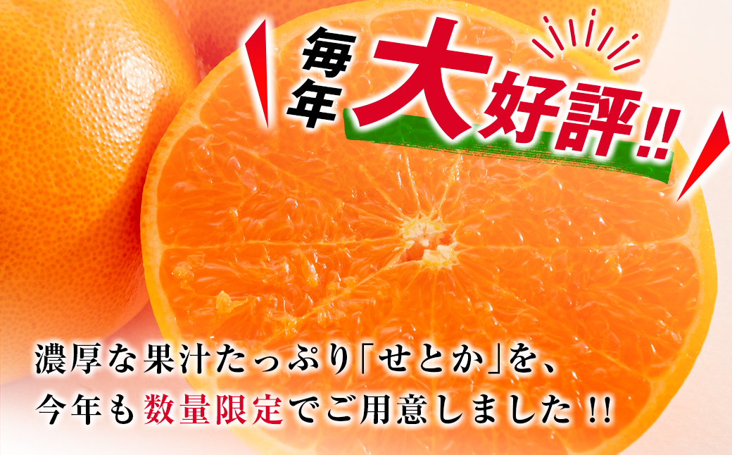 柑橘界の大トロ!! とろけるような食感!! せとか 計3kg以上 化粧箱入り 期間限定 数量限定 先行予約 2026 令和8年発送 果物 くだもの 柑橘 みかん おやつ デザート 国産 食品 おすすめ ギフト 贈り物 贈答 おすそ分け お祝い お返し 宮崎県 日南市 送料無料_D99-24