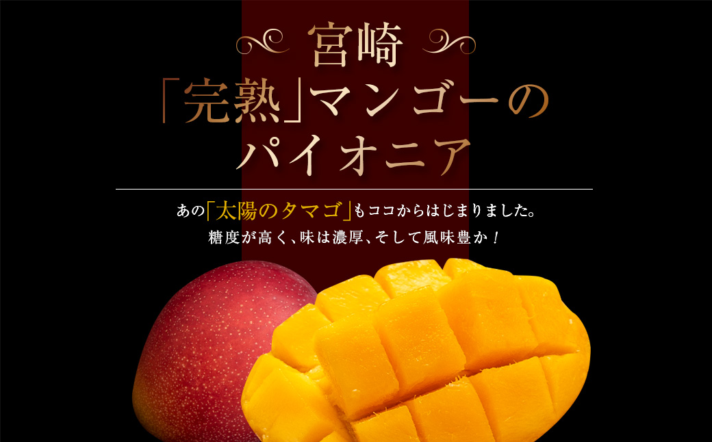 ≪ 先行予約 ≫ 糖度15度以上!! 数量限定 南国宮崎 完熟マンゴー 2L 2玉 期間限定 フルーツ スイーツ 果物 くだもの 食品 デザート 国産 産地直送 人気 おすすめ おやつ 高級 ご褒美 贅沢 贈り物 ギフト プレゼント 贈答 なめらか 宮崎県 日南市 送料無料_BD73-23