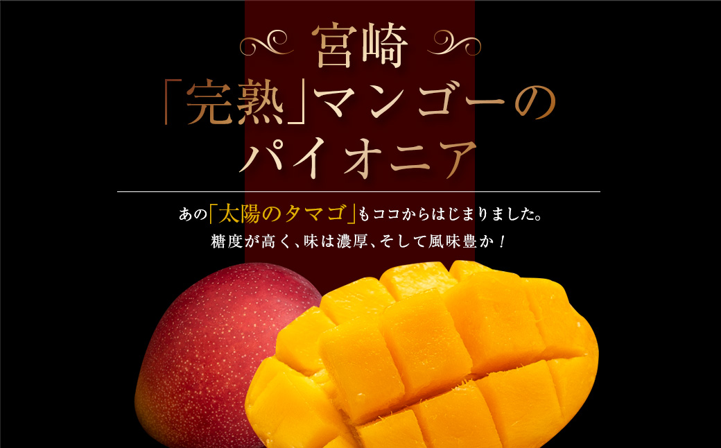 先行予約 数量限定 南国 宮崎 完熟マンゴー 3L × 2玉 A級品 化粧箱入り 期間限定 フルーツ スイーツ 果物 くだもの マンゴー 食品 デザート 国産 産地直送 人気 リピート おすすめ おやつ 高級 ご褒美 贅沢 贈り物 ギフト プレゼント 日南市 送料無料_DB31-24