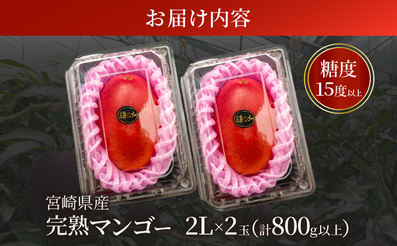 ≪ 先行予約 ≫ 糖度15度以上!! 数量限定 南国宮崎 完熟マンゴー 2L 2玉 期間限定 フルーツ スイーツ 果物 くだもの 食品 デザート 国産 産地直送 人気 おすすめ おやつ 高級 ご褒美 贅沢 贈り物 ギフト プレゼント 贈答 なめらか 宮崎県 日南市 送料無料_BD73-23