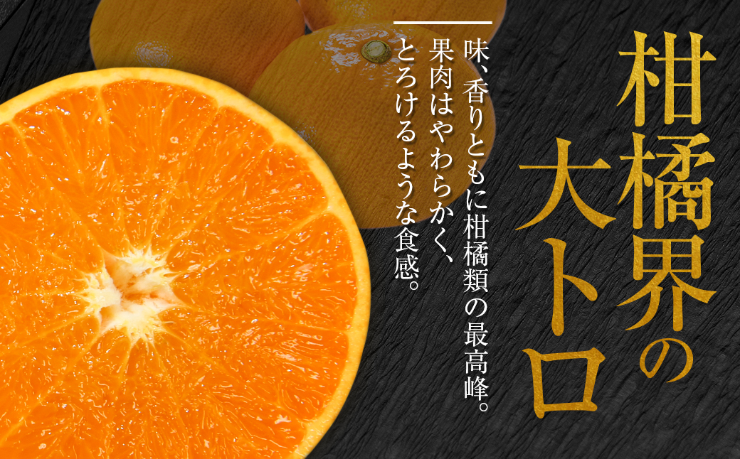 柑橘界の大トロ!! とろけるような食感!! せとか 計3kg以上 化粧箱入り 期間限定 数量限定 先行予約 2026 令和8年発送 果物 くだもの 柑橘 みかん おやつ デザート 国産 食品 おすすめ ギフト 贈り物 贈答 おすそ分け お祝い お返し 宮崎県 日南市 送料無料_D99-24
