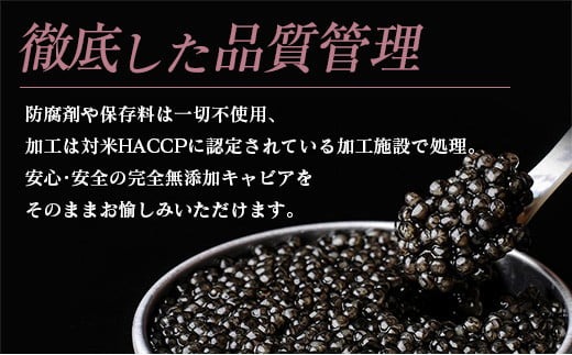 数量限定 宮崎キャビア1983 100g 魚卵 魚介 国産 食品 加工品 黒いダイヤ シロチョウザメ 高級 贅沢 三大珍味 おつまみ ご褒美 記念日 お祝い パーティー オードブル ギフト 贈り物 プレゼント おすすめ 宮崎県 日南市 送料無料_U2-25