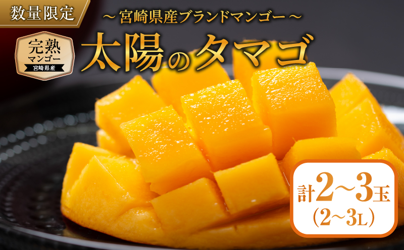 å®çãã³ãŽãŒ 倪éœã®ã¿ã㎠2ç ïœ 3ç æééå® æ°ééå® ãã³ãŽãŒ å®®åŽ ãã«ãŒã æç© ãã ãã® åœç£ é£å å
è¡äºçŽ 2026 什å8幎çºé æ¿å ãã¶ãŒã ãã〠ãããã å·èµ ãè€çŸ ããããã åç²§ç®±å
¥ã ã®ãã ãã¬ãŒã³ã èŽãç© èŽç æ¥ååž éæç¡æ_FD13-25