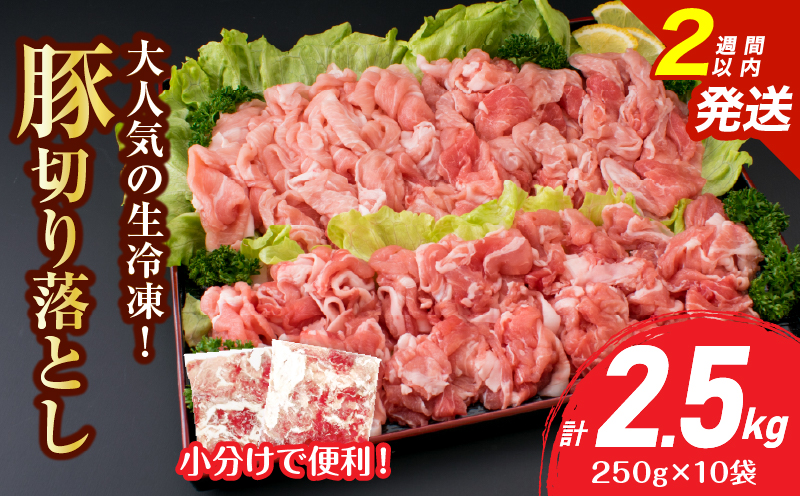 大人気 生冷凍 厳選 豚切り落とし 計2.5kg 国産 食品 豚肉 ぶた ポーク 小分け 個包装 真空パック 便利 大容量 生姜焼き 野菜炒め 豚汁 肉じゃが 豚丼 お弁当 おかず 晩ご飯 おすすめ 使い切りサイズ 万能食材 おすそ分け 宮崎県 日南市 送料無料_CV5-25-2W