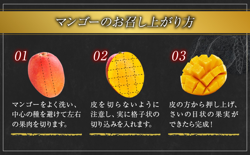 å®çãã³ãŽãŒ 倪éœã®ã¿ã㎠2ç ïœ 3ç æééå® æ°ééå® ãã³ãŽãŒ å®®åŽ ãã«ãŒã æç© ãã ãã® åœç£ é£å å
è¡äºçŽ 2026 什å8幎çºé æ¿å ãã¶ãŒã ãã〠ãããã å·èµ ãè€çŸ ããããã åç²§ç®±å
¥ã ã®ãã ãã¬ãŒã³ã èŽãç© èŽç æ¥ååž éæç¡æ_FD13-25