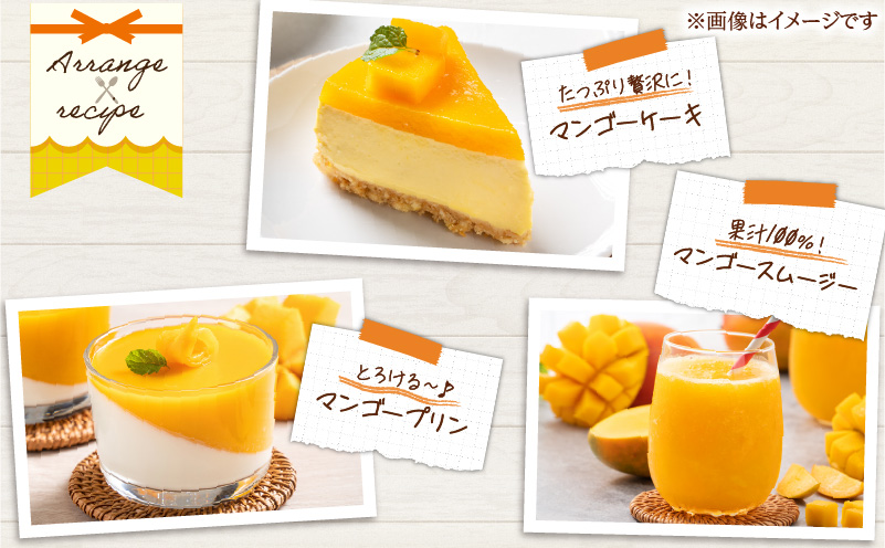 先行予約 数量限定 南国 宮崎 完熟マンゴー 3L × 2玉 A級品 化粧箱入り 期間限定 フルーツ スイーツ 果物 くだもの マンゴー 食品 デザート 国産 産地直送 人気 リピート おすすめ おやつ 高級 ご褒美 贅沢 贈り物 ギフト プレゼント 日南市 送料無料_DB31-24