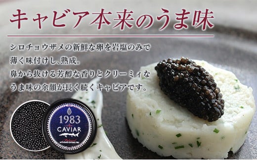数量限定 宮崎キャビア1983 100g 魚卵 魚介 国産 食品 加工品 黒いダイヤ シロチョウザメ 高級 贅沢 三大珍味 おつまみ ご褒美 記念日 お祝い パーティー オードブル ギフト 贈り物 プレゼント おすすめ 宮崎県 日南市 送料無料_U2-25