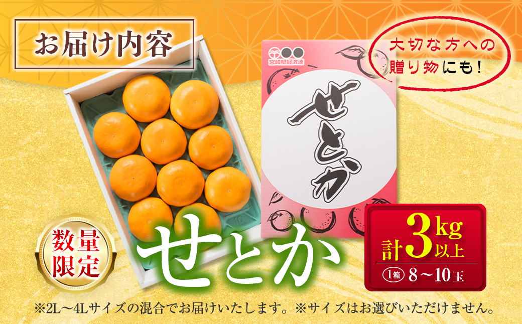 柑橘界の大トロ!! とろけるような食感!! せとか 計3kg以上 化粧箱入り 期間限定 数量限定 先行予約 2026 令和8年発送 果物 くだもの 柑橘 みかん おやつ デザート 国産 食品 おすすめ ギフト 贈り物 贈答 おすそ分け お祝い お返し 宮崎県 日南市 送料無料_D99-24