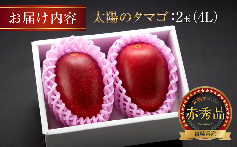 å®çãã³ãŽãŒ 倪éœã®ã¿ã㎠赀ç§å 4L à 2ç æééå® æ°ééå® ãã³ãŽãŒ å®®åŽ ãã«ãŒã æç© ãã ãã® åœç£ é£å å
è¡äºçŽ 2026 什å8幎çºé æ¿å ãã¶ãŒã ãã〠ãããã å·èµ ãè€çŸ èŽ
æ²¢ ããããã åç²§ç®±å
¥ã ã®ãã èŽãç© èŽç æ¥ååž éæç¡æ_H7-191