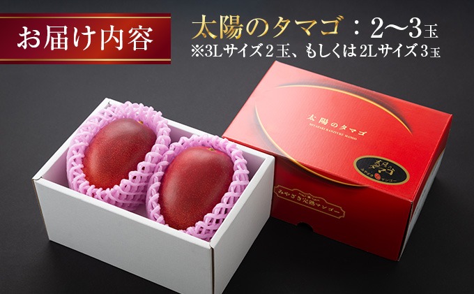 å®çãã³ãŽãŒ 倪éœã®ã¿ã㎠2ç ïœ 3ç æééå® æ°ééå® ãã³ãŽãŒ å®®åŽ ãã«ãŒã æç© ãã ãã® åœç£ é£å å
è¡äºçŽ 2026 什å8幎çºé æ¿å ãã¶ãŒã ãã〠ãããã å·èµ ãè€çŸ ããããã åç²§ç®±å
¥ã ã®ãã ãã¬ãŒã³ã èŽãç© èŽç æ¥ååž éæç¡æ_FD13-25