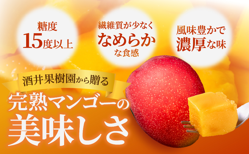 ≪ 先行予約 ≫ 糖度15度以上!! 数量限定 南国宮崎 完熟マンゴー 2L 2玉 期間限定 フルーツ スイーツ 果物 くだもの 食品 デザート 国産 産地直送 人気 おすすめ おやつ 高級 ご褒美 贅沢 贈り物 ギフト プレゼント 贈答 なめらか 宮崎県 日南市 送料無料_BD73-23