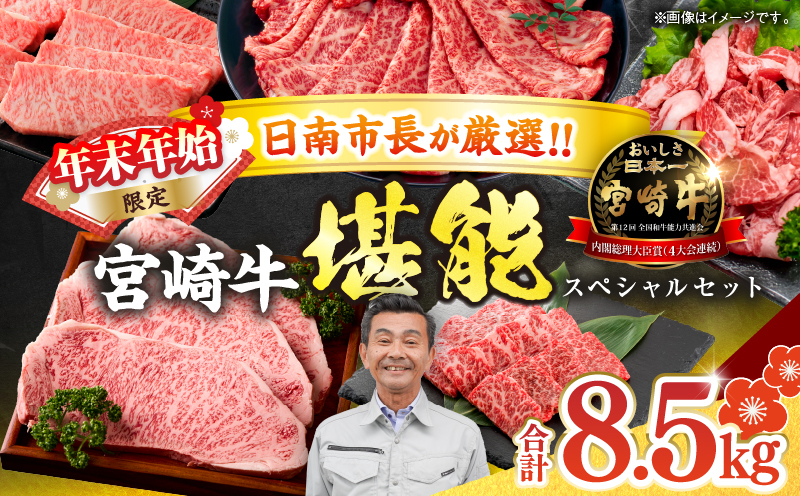 ≪年末年始限定≫日南市長厳選!! 宮崎牛 堪能 セット 合計8.5kg 期間限定 数量限定 肉 牛肉 ステーキ 焼肉 スライス すき焼き しゃぶしゃぶ ロース バラ ウデ モモ 大容量 黒毛和牛 国産 赤身肉 霜降り 食べ比べ 牛丼 おすすめ A4 A5 最高級 宮崎県 送料無料_AG4-25
