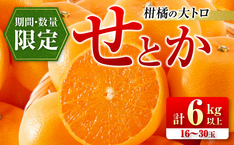 柑橘の大トロ せとか 計6kg以上 先行予約 希少 期間限定 数量限定 フルーツ 果物 くだもの 柑橘 みかん オレンジ 令和8年発送 みかんジュース フルーツサンド 国産 食品 人気 おすすめ デザート おやつ ギフト 贈り物 贈答 宮崎県 日南市 送料無料_FD7-24
