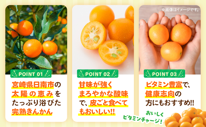 完熟きんかん 計3kg 期間限定 数量限定 フルーツ 果物 くだもの 柑橘 金柑 国産 食品 デザート おやつ 甘露煮 ジャム まるごと 甘い ビタミン おすすめ ギフト プレゼント おすそ分け 産地直送 先行予約 令和8年発送 宮崎県 日南市 送料無料_BAV9-25