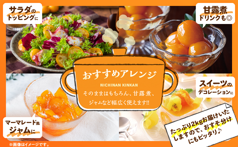 完熟きんかん 計3kg 期間限定 数量限定 フルーツ 果物 くだもの 柑橘 金柑 国産 食品 デザート おやつ 甘露煮 ジャム まるごと 甘い ビタミン おすすめ ギフト プレゼント おすそ分け 産地直送 先行予約 令和8年発送 宮崎県 日南市 送料無料_BAV9-25