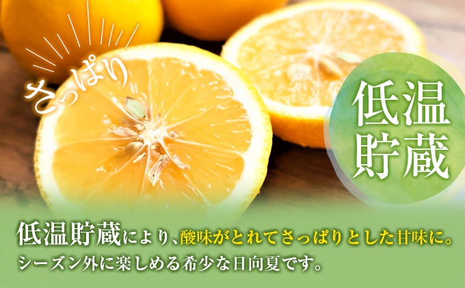 先行予約 訳あり 宮浦産 蔵出し 日向夏 計3kg以上 期間限定 数量限定 フルーツ 果物 くだもの 柑橘 みかん 令和8年発送 国産 産地直送 新鮮 食品 ジュース デザート フルーツサンド おやつ ご褒美 おすそ分け ご家庭用 ご自宅用 宮崎県 日南市 送料無料_BC131-25