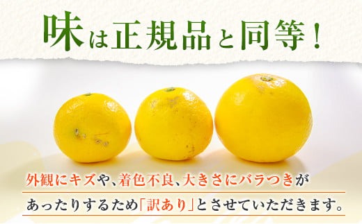 先行予約 訳あり 宮浦産 蔵出し 日向夏 計3kg以上 期間限定 数量限定 フルーツ 果物 くだもの 柑橘 みかん 令和8年発送 国産 産地直送 新鮮 食品 ジュース デザート フルーツサンド おやつ ご褒美 おすそ分け ご家庭用 ご自宅用 宮崎県 日南市 送料無料_BC131-25