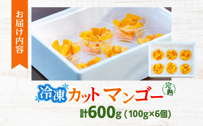 冷凍 カット マンゴー 計600g フルーツ 果物 くだもの 完熟マンゴー 小分け おすすめ おやつ デザート 贅沢 スムージー マンゴータルト パフェ 食品 加工品 国産 数量限定 冷凍フルーツ 果実 南国 産地直送 ギフト 贈り物 宮崎県 日南市 送料無料_CA94-25