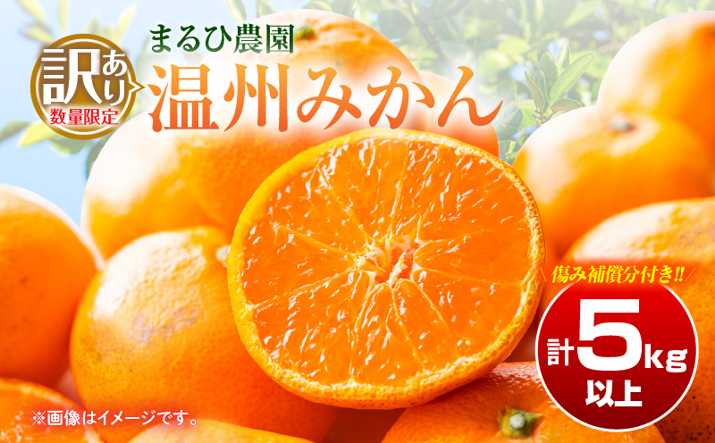 訳あり 温州 みかん 計5kg以上 傷み補償分付き まるひ農園 期間限定 数量限定 フルーツ 果物 くだもの 柑橘 ミカン 国産 食品 デザート おやつ 人気 スイーツ おすすめ ご家庭用 訳アリ ワケあり おすそ分け 新鮮 産地直送 宮崎県 日南市 送料無料_ZZV2-25