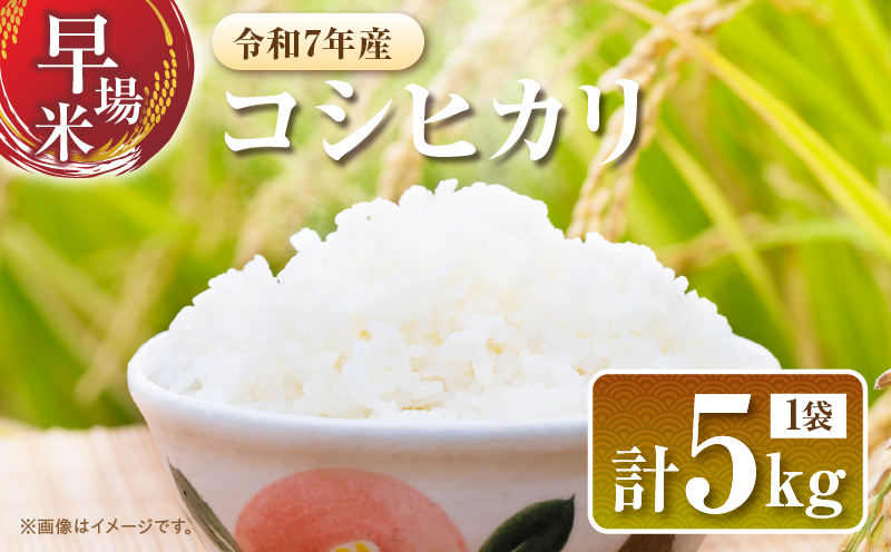 2週間以内に発送 早場米 令和7年産 コシヒカリ 計5kg 米 期間限定 日南市産 お米 ご飯 ライス 国産 人気 食品 精米 白米 こしひかり 有洗米 おすすめ おにぎり お弁当 炊き込みご飯 雑炊 ギフト 贈り物 産地直送 宮崎県 日南市 送料無料_CA79-25