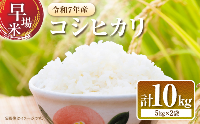 2週間以内に発送 早場米 コシヒカリ 計10kg 期間限定 日南市産 お米 ご飯 ライス 国産 令和7年産 人気 食品 精米 白米 こしひかり 有洗米 おにぎり お弁当 炊き込みご飯 雑炊 ギフト 贈り物 贈答 産地直送 宮崎県 日南市 送料無料_FA11-25