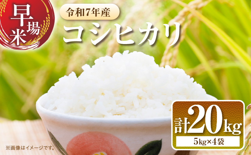 2週間以内に発送 早場米 コシヒカリ 計20kg 期間限定 日南市産 お米 ご飯 ライス 国産 令和7年産 人気 食品 精米 白米 こしひかり 有洗米 おにぎり お弁当 炊き込みご飯 雑炊 ギフト 贈り物 贈答 産地直送 宮崎県 日南市 送料無料_I30-25