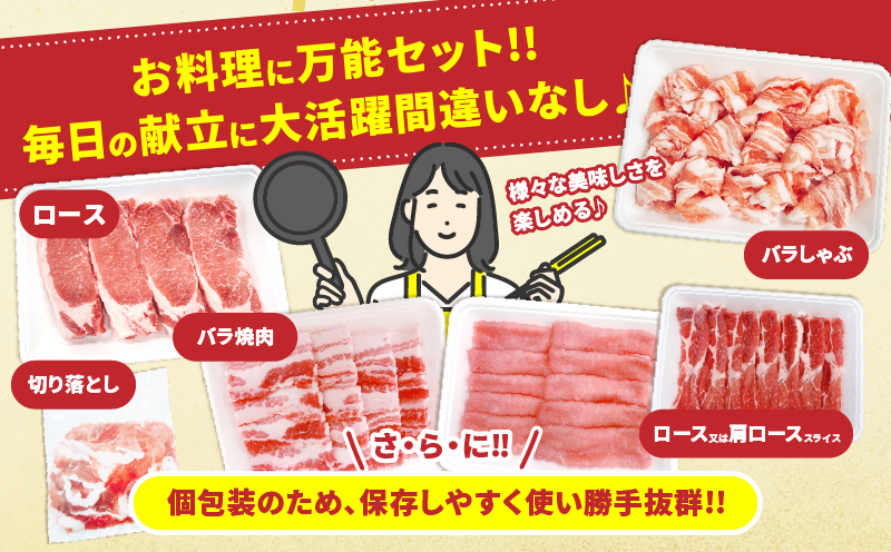 宮崎県産 豚肉 5種 セット (合計3.2kg) 国産 食品 豚バラ 切り落とし ロース スライス 焼肉 BBQ しゃぶしゃぶ 生姜焼き とんかつ ソテー 豚丼 野菜炒め 冷しゃぶ 個包装 小分け おすすめ おかず お弁当 晩ご飯 手軽 便利 ギフト 贈り物 冷凍 日南市 送料無料_CD73-25