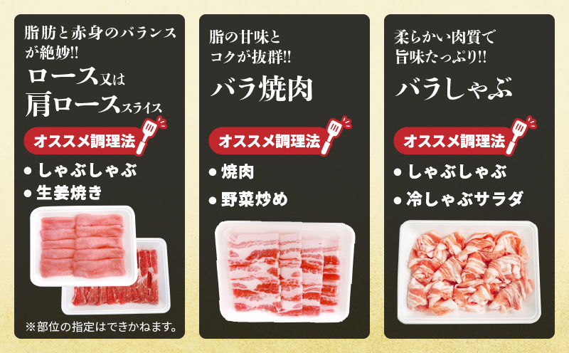 宮崎県産 豚肉 5種 セット (合計3.2kg) 国産 食品 豚バラ 切り落とし ロース スライス 焼肉 BBQ しゃぶしゃぶ 生姜焼き とんかつ ソテー 豚丼 野菜炒め 冷しゃぶ 個包装 小分け おすすめ おかず お弁当 晩ご飯 手軽 便利 ギフト 贈り物 冷凍 日南市 送料無料_CD73-25