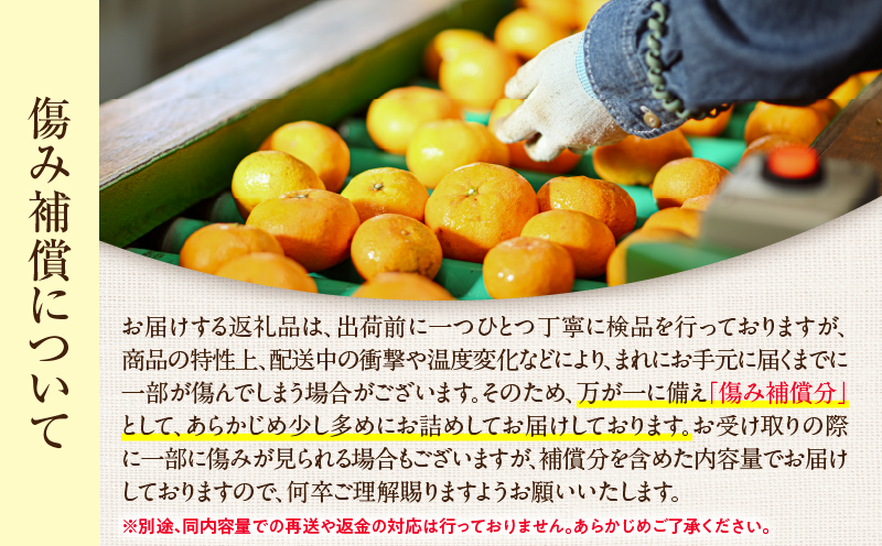 é£ã¹å¿ãæçŸ€ 倧ç ãããã èš2kgä»¥äž å·ã¿è£ååå
¥ã æ°ééå® æééå® ãã«ãŒã æç© ãã ãã® ææ© éæ å
è¡äºçŽ åœç£ åžå° äººæ° ãããã ãžã£ã ãã〠ãã¶ãŒã å°åã ãããåã èŽãç© ã®ãã èŽç ãè€çŸ ç£å°çŽé å®®åŽç æ¥ååž éæç¡æ_BB161-25