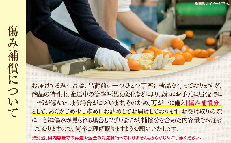 èš³ãã æž©å· ã¿ãã èš5kgä»¥äž å·ã¿è£ååå
¥ã ãŸãã²èŸ²å æééå® æ°ééå® ãã«ãŒã æç© ãã ãã® ææ© ãã«ã³ åœç£ é£å ãã¶ãŒã ããã€ äººæ° ã¹ã€ãŒã ãããã ãå®¶åºçš èš³ã¢ãª ã¯ã±ãã ãããåã æ°é®® ç£å°çŽé å®®åŽç æ¥ååž éæç¡æ_A102-26