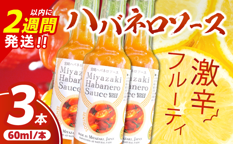 爽やか激辛食感 フルーティなハバネロソース 数量限定 宮崎 ハバネロ ソース 計3本 激辛ソース 調味料 おすすめ 加工品 オリジナル ブレンド 肉料理 パスタ ピザ ギフト プレゼント 贈り物 お取り寄せ 宮崎県 日南市 送料無料_AA64-24