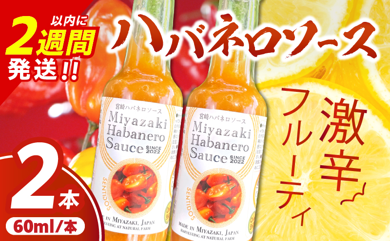 爽やか激辛食感 フルーティなハバネロソース 数量限定 宮崎 ハバネロ ソース 計2本 激辛ソース 調味料 おすすめ 加工品 オリジナル ブレンド 肉料理 パスタ ピザ ギフト プレゼント 贈り物 お取り寄せ 宮崎県 日南市 送料無料_ZXV1-24