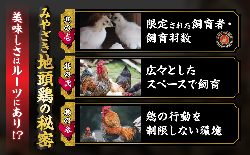 みやざき地頭鶏 炭火焼き 計1.5kg 鶏肉 地鶏 国産 加工品 惣菜 食品 ブランド 小分け 個包装 おすそ分け 本格的 こだわり おかず お弁当 おつまみ 晩ご飯 簡単調理 レンチン お取り寄せ グルメ 名物 ご当地 宮崎県 日南市 送料無料_E35-22