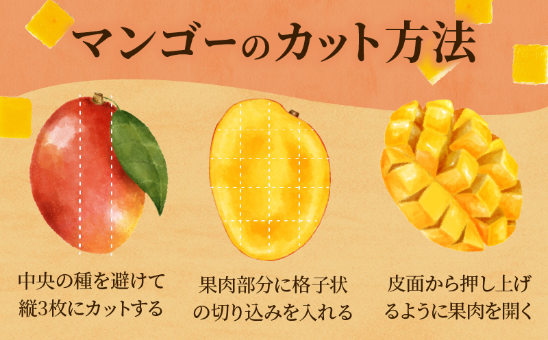 ≪ 先行予約 ≫ 糖度15度以上!! 数量限定 南国宮崎 完熟マンゴー 2L 2玉 期間限定 フルーツ スイーツ 果物 くだもの 食品 デザート 国産 産地直送 人気 おすすめ おやつ 高級 ご褒美 贅沢 贈り物 ギフト プレゼント 贈答 なめらか 宮崎県 日南市 送料無料_BD73-23