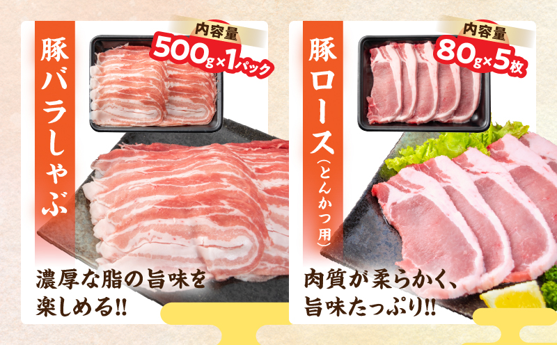 豚肉 鶏肉 食べ比べ セット 合計5kg 国産 食品 しゃぶしゃぶ 焼肉 BBQ とんかつ 切り落とし 豚ロース 豚バラ 鶏モモ からあげ 生姜焼き 小分け バラエティ 人気 おすすめ おすそ分け おかず お弁当 晩ご飯 宮崎県 日南市 送料無料_DC32-25