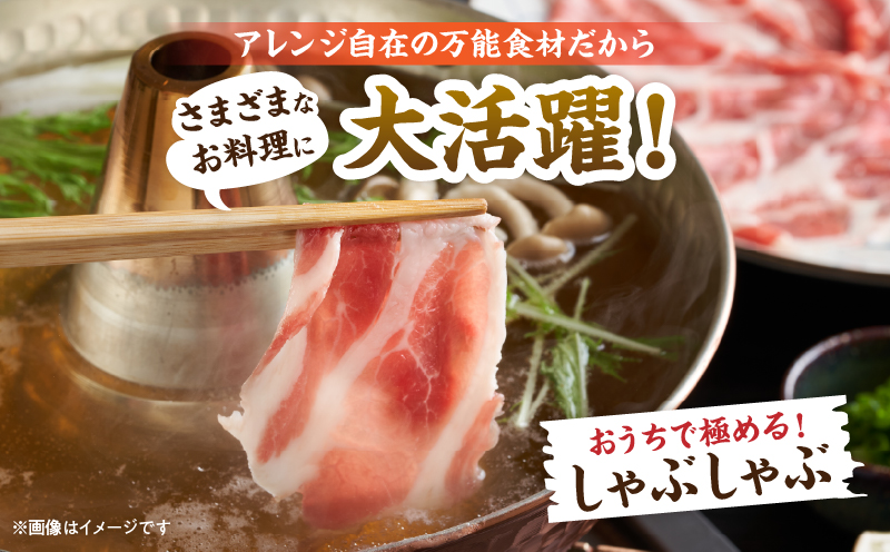 豚肉 鶏肉 食べ比べ セット 合計5kg 国産 食品 しゃぶしゃぶ 焼肉 BBQ とんかつ 切り落とし 豚ロース 豚バラ 鶏モモ からあげ 生姜焼き 小分け バラエティ 人気 おすすめ おすそ分け おかず お弁当 晩ご飯 宮崎県 日南市 送料無料_DC32-25