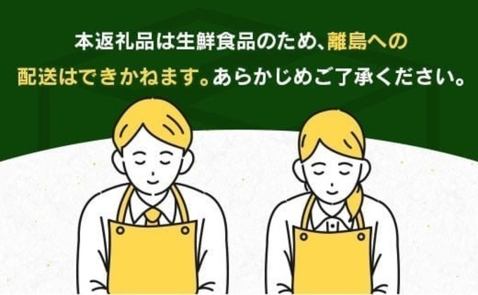 èš³ãã æ°ééå® ã°ãªãŒã³ã¬ã¢ã³ ãã®ã èš10kgä»¥äž æééå® ãã«ãŒã æç© ãã ãã® ææ© ã¬ã¢ã³ 檞檬 ã¬ã¢ã³ã㣠ã¬ã¢ããŒã åœç£ é£å ãã¶ãŒã ã¹ã€ãŒã äººæ° ãããã ãå®¶åºçš èš³ã¢ãª ãããåã æ°é®® ç£å°çŽé å®®åŽç æ¥ååž éæç¡æ ãŸãã²èŸ²å_BB129-23
