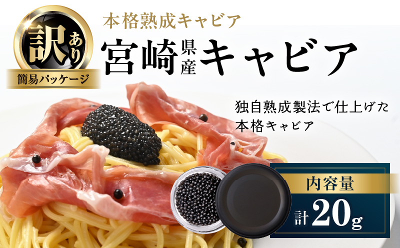 数量限定 訳あり 本格熟成キャビア 宮崎県産キャビア 20g 魚卵 魚介 魚貝 国産 食品 加工品 チョウザメ おつまみ 世界三大珍味 黒いダイヤ 水産物 贅沢 高級食材 上質 ご褒美 お祝い 記念日 フレッシュ お土産 おすすめ パーティー グルメ 冷凍 送料無料_DA59-26