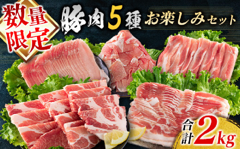 数量限定 豚肉 5種 お楽しみ セット 合計2kg 肉 豚 国産 おかず 食品 小分け 焼肉 しゃぶしゃぶ ロース 豚バラ 肩ロース モモ スライス こま切れ 豚しゃぶ 豚丼 詰め合わせ おすすめ 人気 お弁当 おつまみ 普段使い 冷凍 ミヤチク 宮崎県 日南市 送料無料_CA69-25