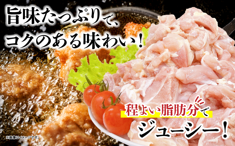 若鶏 もも 切身 計1.2kg 鶏肉 国産 チキン もも肉 小分け 美味しい カット済 人気 便利 おかず お弁当 おつまみ 食品 真空パック 親子丼 から揚げ チキン南蛮 焼肉 万能食材 簡単調理 おすすめ ご褒美 記念日 お祝い 贈り物 ギフト 日南市 宮崎県 送料無料_B239-24