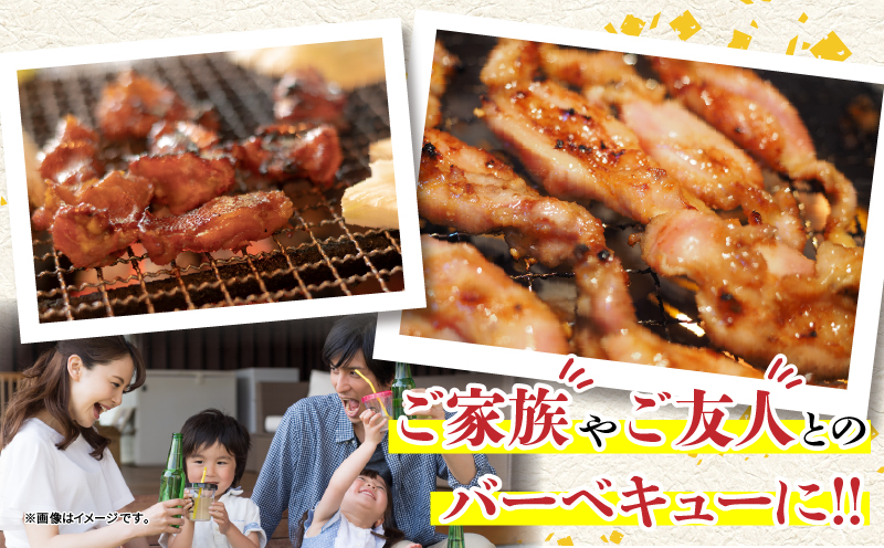 è¥é¶ çŒè ã»ãã åèš4.2kg é¶è åœç£ ããã³ é¶ããè å身 è ç è å°è æçŸœäž ããã³ãªã è©è äººæ° å°åã äŸ¿å© ããã ãåŒåœ ãã€ãŸã¿ é£å ç空ãã㯠BBQ åæã ãåãå¯ã ãããã ãè€çŸ èšå¿µæ¥ ãç¥ã ãããåã æ¥ååž å®®åŽç éæç¡æ_DA62-26