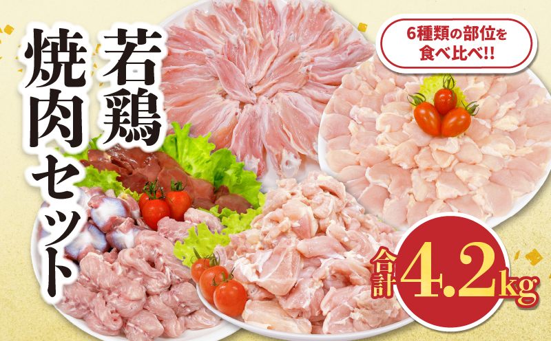 è¥é¶ çŒè ã»ãã åèš4.2kg é¶è åœç£ ããã³ é¶ããè å身 è ç è å°è æçŸœäž ããã³ãªã è©è äººæ° å°åã äŸ¿å© ããã ãåŒåœ ãã€ãŸã¿ é£å ç空ãã㯠BBQ åæã ãåãå¯ã ãããã ãè€çŸ èšå¿µæ¥ ãç¥ã ãããåã æ¥ååž å®®åŽç éæç¡æ_DA62-26
