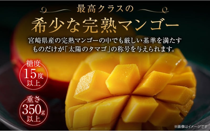 å®çãã³ãŽãŒ 倪éœã®ã¿ã㎠2ç ïœ 3ç æééå® æ°ééå® ãã³ãŽãŒ å®®åŽ ãã«ãŒã æç© ãã ãã® åœç£ é£å å
è¡äºçŽ 2026 什å8幎çºé æ¿å ãã¶ãŒã ãã〠ãããã å·èµ ãè€çŸ ããããã åç²§ç®±å
¥ã ã®ãã ãã¬ãŒã³ã èŽãç© èŽç æ¥ååž éæç¡æ_FD13-25